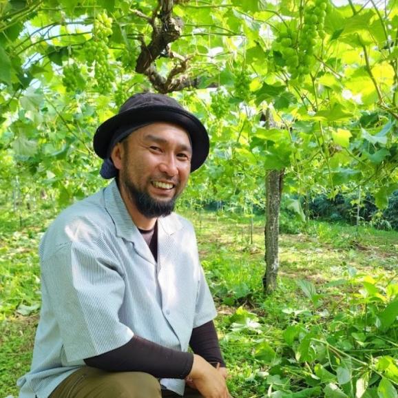 【早期受注割引】フルーツのまち都農町より！黒木さんのシャインマスカット_2kg02