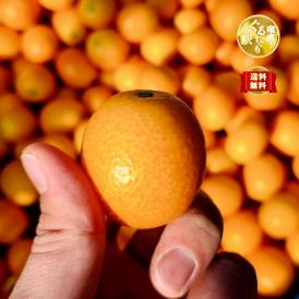 【全国送料無料・2月4日以降発送】最高ランクの完熟！宮崎県都農町 金丸農園 まさひろ金柑“精選”３L糖度18度以上_1kg_専用ギフトBOX仕様
