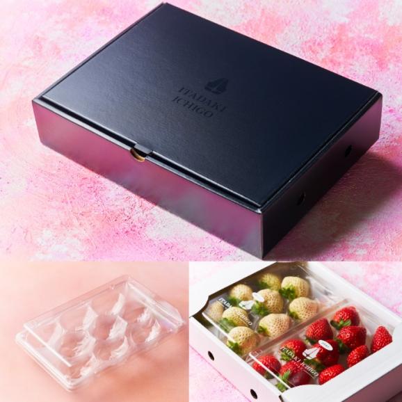 1粒約15g　希少白いちご“ゆきざくら”&“天使のいちご”&食べごろ赤いちご2品種　各1パック　240g×4パック05