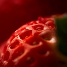 【鮮度こそ命】福岡県産"農園採れたて直送赤いちご” 品種おまかせ！大粒 1粒約30g 270g×2パック