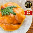 【全国送料無料】とろける“早春獲れ”！北海道の匠の「ふり塩うに」_エゾバフンウニ_100g【ミョウバン水不使用・北海道産】