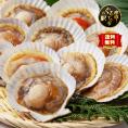 【全国送料無料】北海道鹿部町噴火湾_殻付きほたて650g×1パック