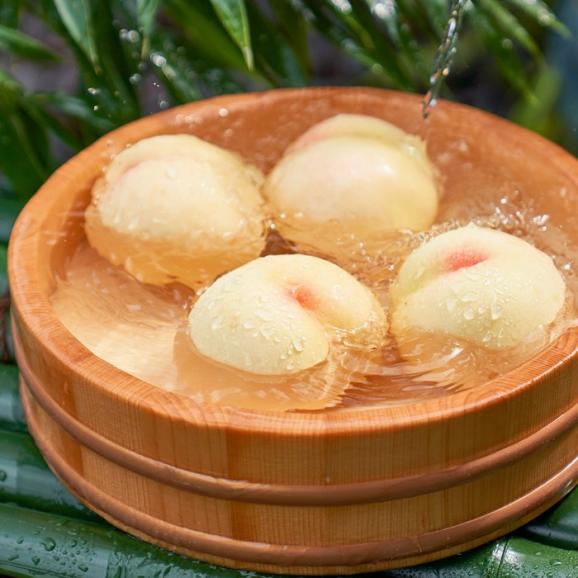 【全国送料無料】岡山県産 大玉白桃の水熟桃！桃里庵の宝もも&白桃ピューレギフトBOX仕様06