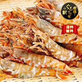 【緊急入荷】幻の猛者えび_“鮮度抜群”生食用 プロトン凍結_500g×2パック【全国送料無料】