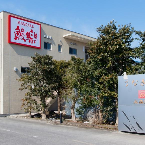【全国送料無料】特増1,4kg超え！国産うなぎ蒲焼８尾セット 06