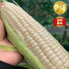 “甘い夜の純白” 特大_真夜中とうもろこし1本450g以上保証_10本（約4.5kg）【全国クール便送料無料】