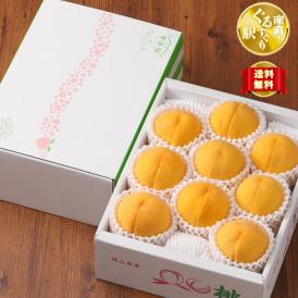 岡山県産 桃里庵の“とろとろ”黄桃_ご自宅用2kg(7~9玉）
