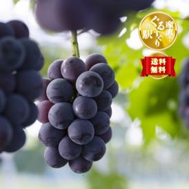 “晩夏の完熟”月本果樹園謹製_たっぷり果汁のニューピオーネ1kg（2~3房）
