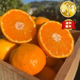 【早期受注割引】名門！上友農園 完熟みかん～颯～秀品_3㎏【出荷時完全糖度保障】