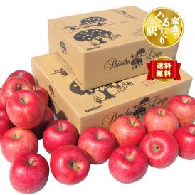 【全国送料無料】成増農園謹製！信州りんご“蜜入り”完熟サンフジ_贈答用 15kg（27〜48個）