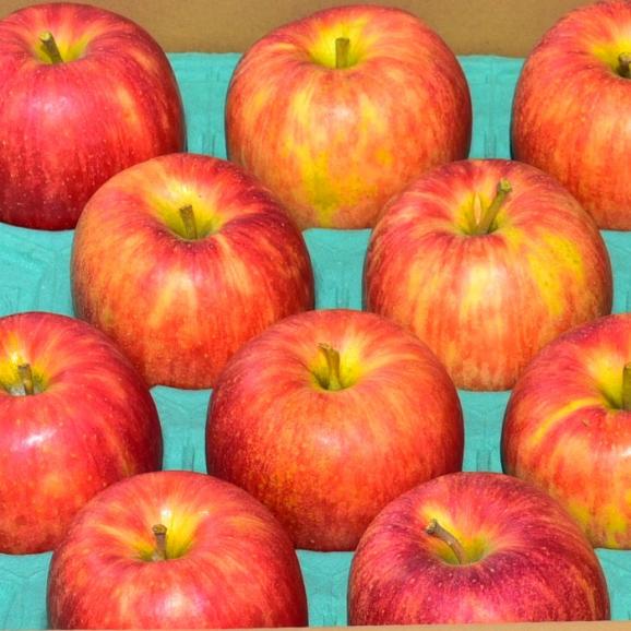 最適な品種を直送！_成増農園謹製！採れたて信州りんご_ご家庭用 3kg（6~10個）02