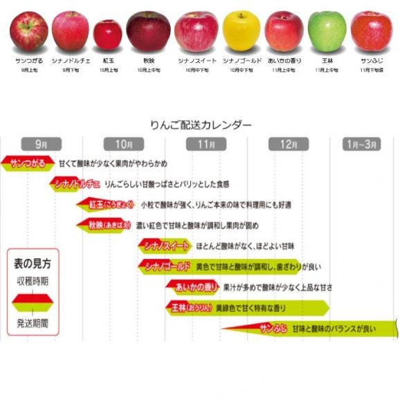 最適な品種を直送！_成増農園謹製！採れたて信州りんご_ご家庭用5kg（10〜23個）04