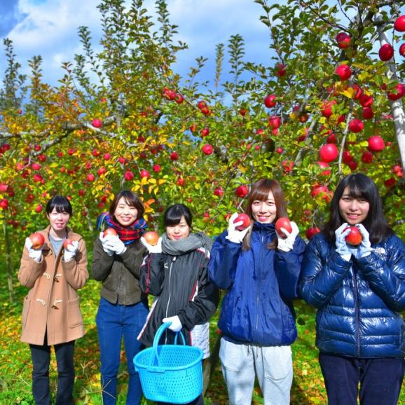 最適な品種を直送！_成増農園謹製！採れたて信州りんご_ご家庭用5kg（10〜23個）06