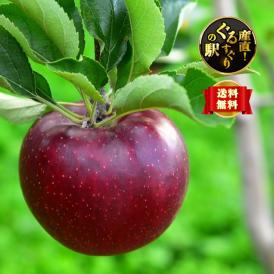 甘い秋薫る！名門 成増農園の信州りんご 秋映（あきばえ）_ご家庭用 3kg（6~10個）