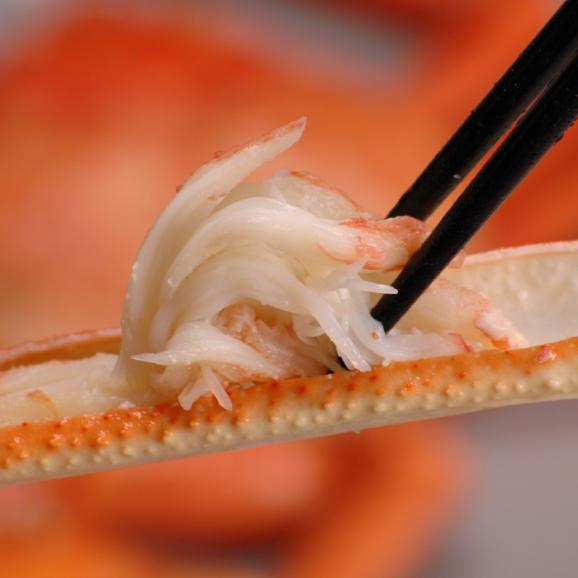 山陰 境港水揚げ “冬の王者” 釜ゆで松葉ガニ 1枚（300g～500g）美味しさそのまま急速冷凍02