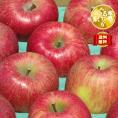【全国送料無料】成増農園謹製！信州りんご完熟サンフジ_ご家庭用 5kg（10〜23個）