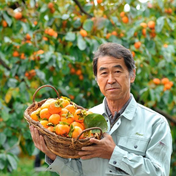 “もっちり真冬の甘露”産地直送 大粒 市田柿 ご家庭用袋入り 1kg詰 （2Lサイズ約30粒前後)06
