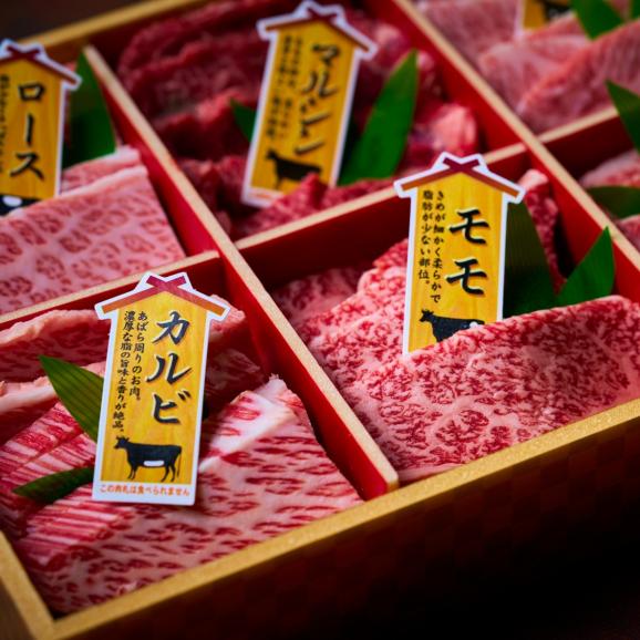 【全国送料無料】贅の極み！美味しさ日本一 宮崎牛6種 部位別食べくらべ焼肉用セット 600g02