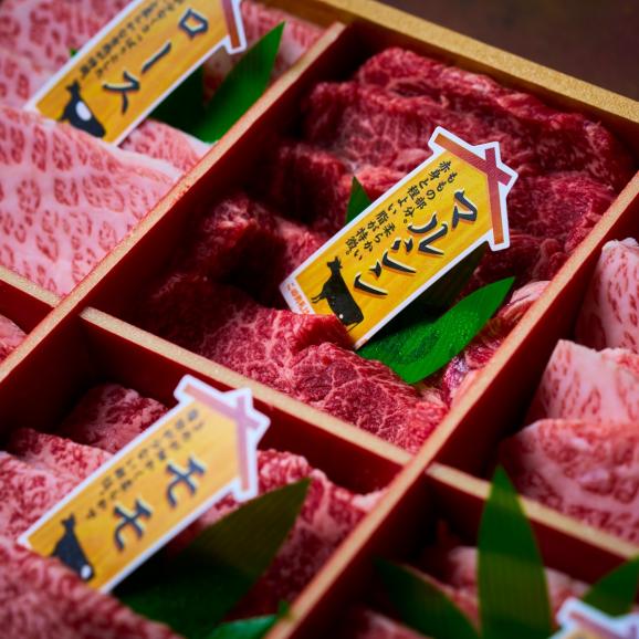 【全国送料無料】贅の極み！美味しさ日本一 宮崎牛6種 部位別食べくらべ焼肉用セット 600g03