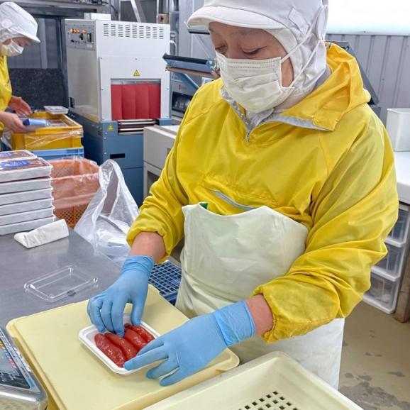 【工場直送！】北海道鹿部町 噴火湾産 “初もの”たらこ130g×3パック03