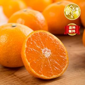 【早期受注割引】名門！上友農園 真冬の完熟～中生～秀品_5kg【出荷時完全糖度保障】