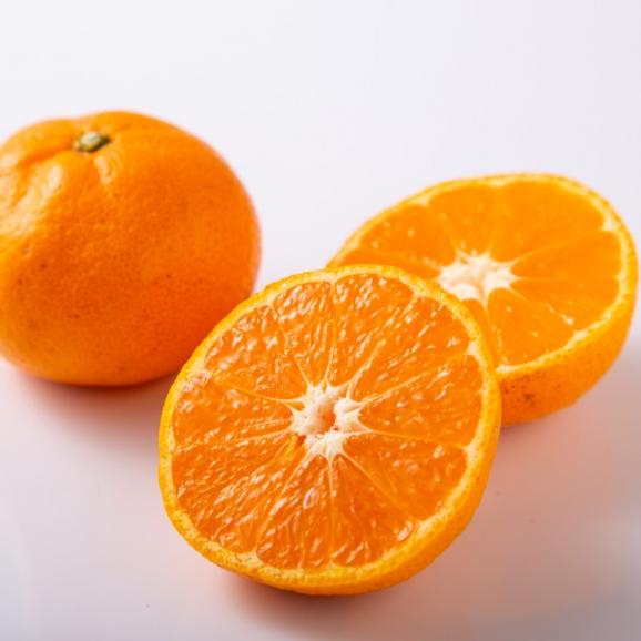 【早期受注割引】名門！上友農園 真冬の完熟～中生～秀品_10kg【出荷時完全糖度保障】02
