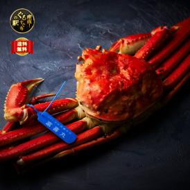 【全国送料無料】最高峰！隠岐の島産 “富喜丸水揚げ” 青タグつき蒸し松葉ガニ_プロトン凍結_1杯（1.2kg以上）