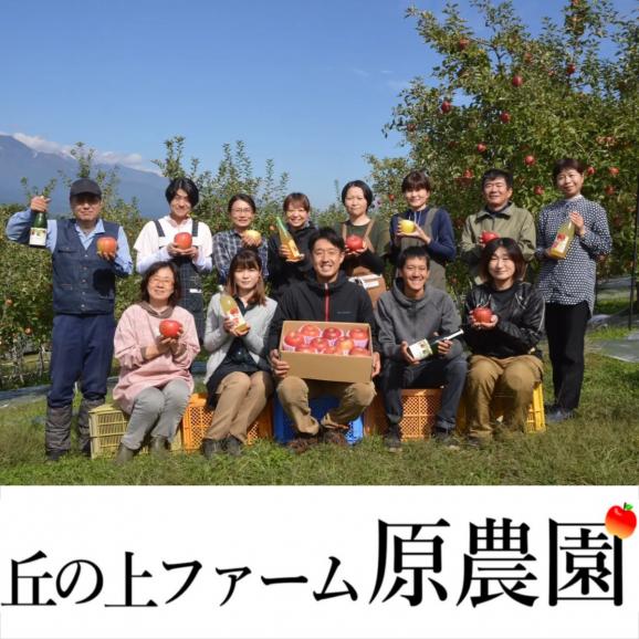 【早期受注割引・全国クール便送料無料】 “瑞々しく甘い”丘の上ファームの朝採れ「夏雄美」長野県豊丘村産_2.5kg(6～10玉)【7月上旬～下旬発送・ギフト可】05
