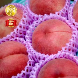 【早期受注割引・全国クール便送料無料】 “濃く甘く”丘の上ファームの朝採れ「夏かんろ」長野県豊丘村産_2.5kg(6～10玉)【7月中旬～下旬発送・ギフト可】