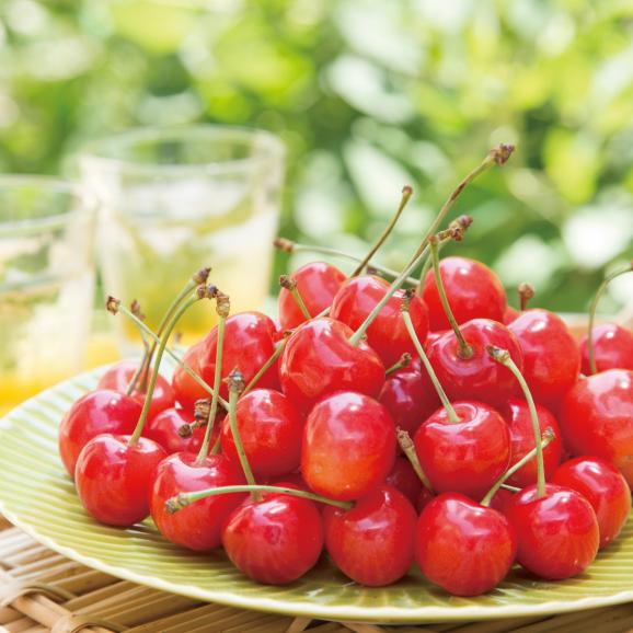 【早期受注割引・5月7~10日届け】押野ファーム“最人気”佐藤錦 粒選り秀品 Lサイズ_24粒 ギフトBOX【数量限定】02