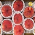 【早期受注割引】長野県産 なつっこ“赤秀” 5kg（16~12玉）8月上旬～お盆前届け_ご家庭用【全国クール便送料無料】