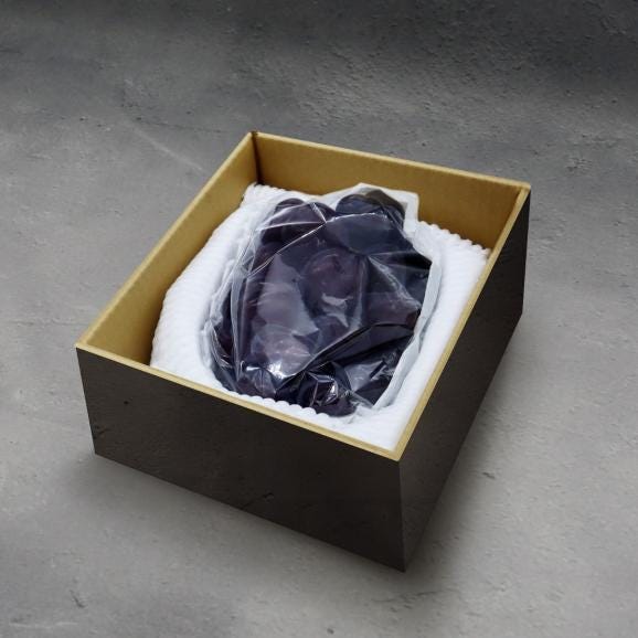 【完全予約制】“超希少品種”ブラックシャインマスカット「富士の輝」“特大”700g（1房）【全国送料無料】02
