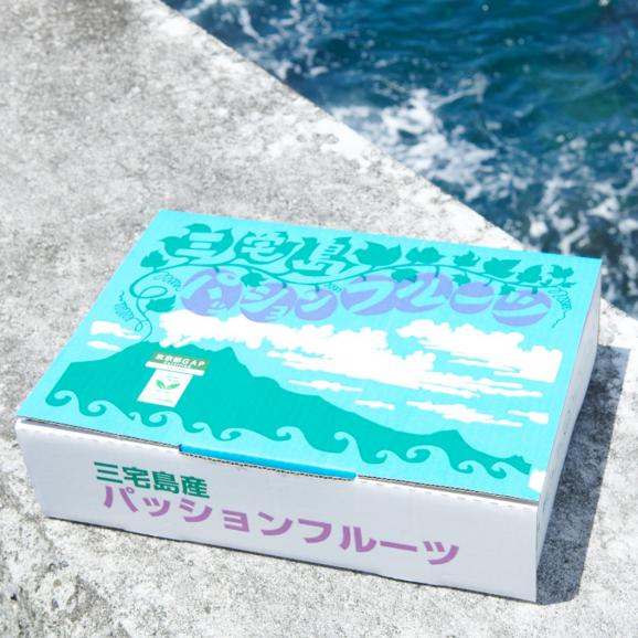 【全国送料無料】大玉！あまく薫る“太陽の完熟”三宅島パッションフルーツ「とろぴか丸」A品10玉（Lサイズ）【贈答箱使用】05