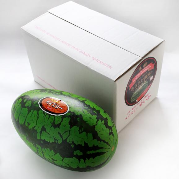 【早期受注割引】山形県尾花沢産 生産者指定“あまいあまい”完熟ペイズリースイカ1玉（5kg～7kg）【全国送料無料】03