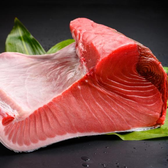 【全国送料無料】至福の獲れたて本鮪！宇和島産「だてまぐろ」スライス300g（75g×4食入り）02