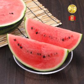 夏すいか日本一の山形県産