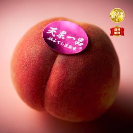 【早期受注割引】“桃の頂点”福島県産「天果一品」極甘！糖度13度以上_5kg（16～18玉）_自由に選べる3品種 7月下旬以降発送