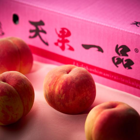 【早期受注割引】&ldquo;桃の頂点&rdquo;福島県産「天果一品」極甘！糖度13度以上_5kg（16～18玉）_自由に選べる3品種 7月下旬以降発送03