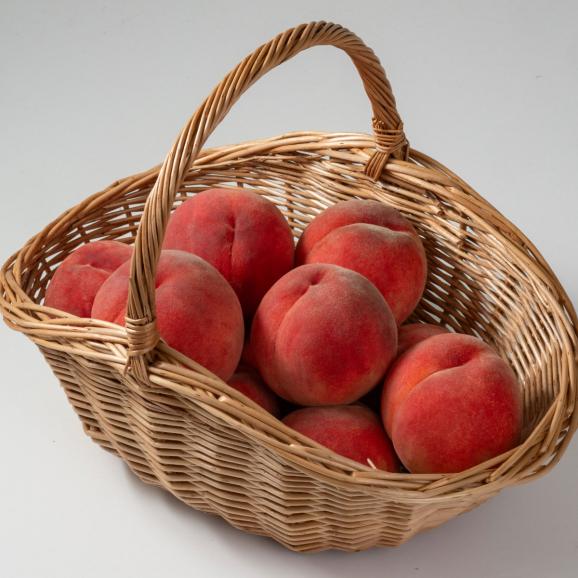 【全国送料無料】桃王国の夏終わり“甘くとろける”「さくら白桃」 特秀等級_5kg（16玉～10玉）【福島県産・9月上旬以降発送】05
