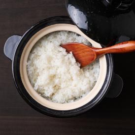 令和7年新米「意味のあるお米」きぬむすめ 5kg 特別栽培米 (島根県出雲市産) バイオ炭散布【全国送料無料】