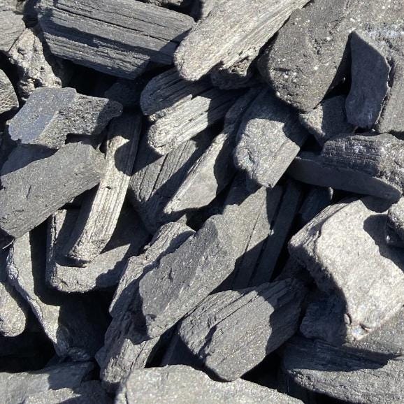 令和7年新米「意味のあるお米」つや姫&きぬむすめ 各5kg(計10kg) 食べ比べセット 特別栽培米 (島根県出雲市産) バイオ炭散布【全国送料無料】03