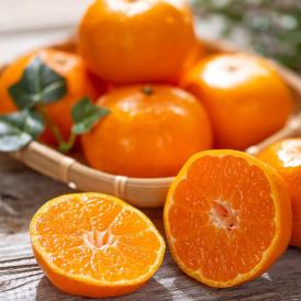 【全国送料無料】幻の採れたて！征代さんの“桜みかん” 3kg_宮崎県都農町産