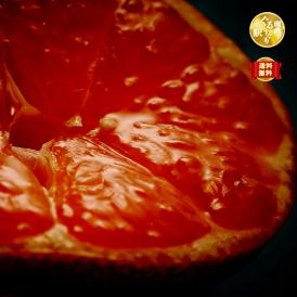 【全国送料無料・吟選】“いちばん美味い” 名人 眞鍋氏謹製 平均糖度15度 完熟「あめ玉みかん」２ｋｇ“最古の産地”鹿児島県 出水産 【ポイント10倍】