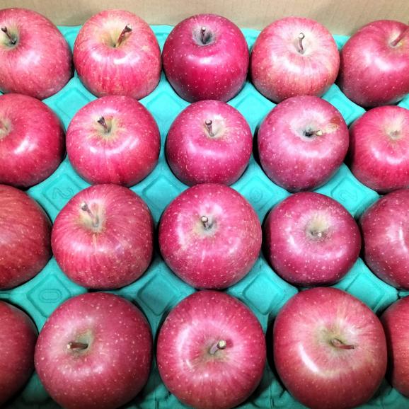 【全国送料無料】全品糖度13度！みらいファームラボ謹製！青森県産りんご サンふじ&ldquo;小玉吟選&rdquo;特選デラックス ３kg（10〜12個）05