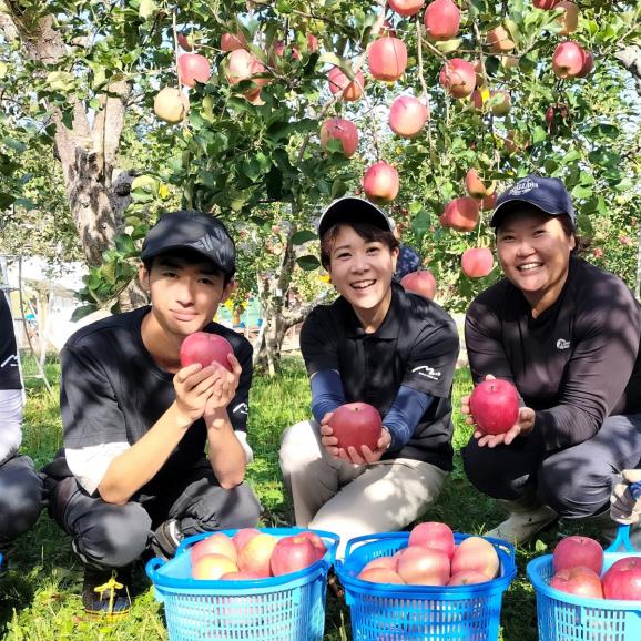 【全国送料無料】全品糖度13度!みらいファームラボ謹製!青森県産りんご サンふじ“小玉吟選”特秀スタンダード 3kg(10〜12個)02