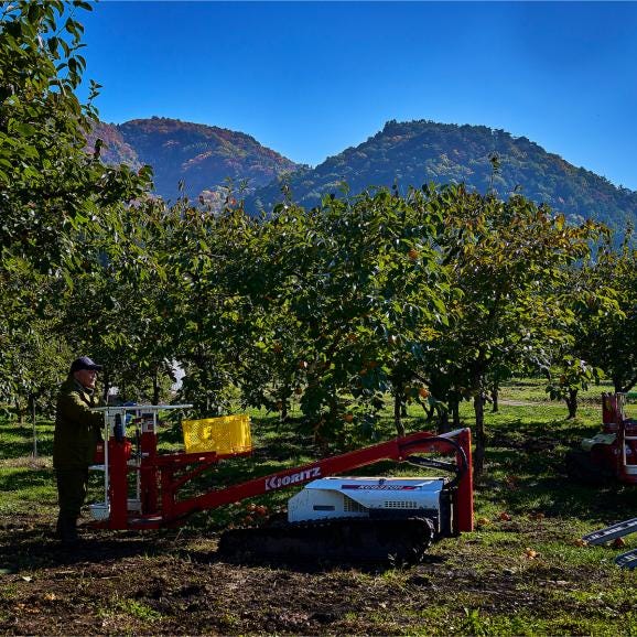 【全国送料無料】500年目の甘露 会津若松 完熟 みしらず柿（身不知柿）厳選品6玉【11月下旬以降発送】06