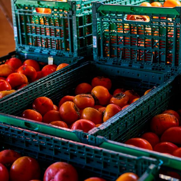 【全国送料無料】500年目の甘露 会津若松 完熟 みしらず柿（身不知柿）サイズ/色/形無選別品【11月下旬以降発送】04