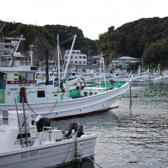 【全国送料無料】“本場の美味しさ”出汁が旨い、鮟鱇(あんこう)しゃぶしゃぶ2人前05