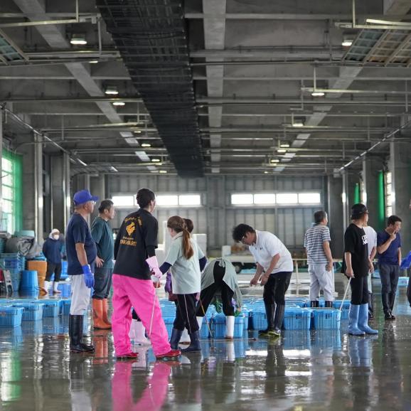 【全国送料無料】“手にぎり”港町の地魚寿司!まえけん謹製 地魚おさかな小町11選(2~3人前 55g×11点)05