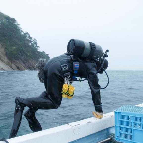 【全国送料無料】食べる宝石!片倉商店謹製 宮城県産シングルシード式牡蠣「女川オイスターファーム金華かき」Mサイズ 24個入り03